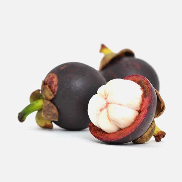 Mangosteen