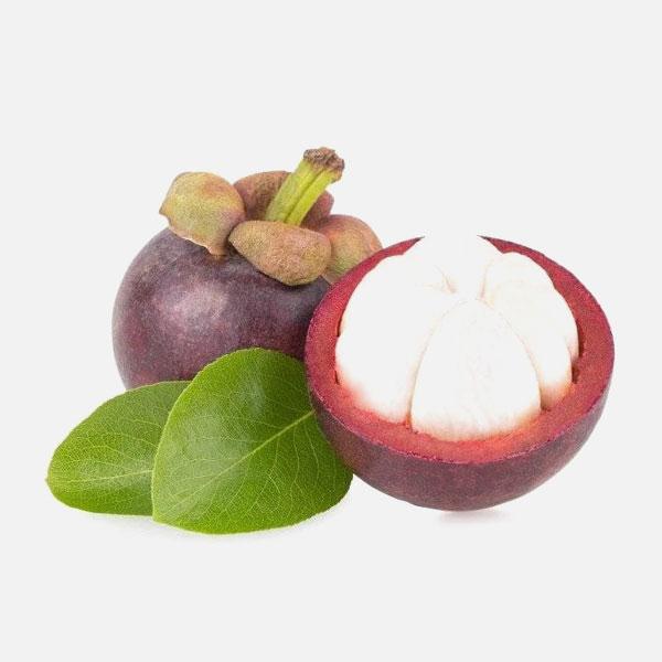 Mangosteen