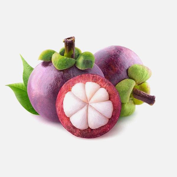 Mangosteen