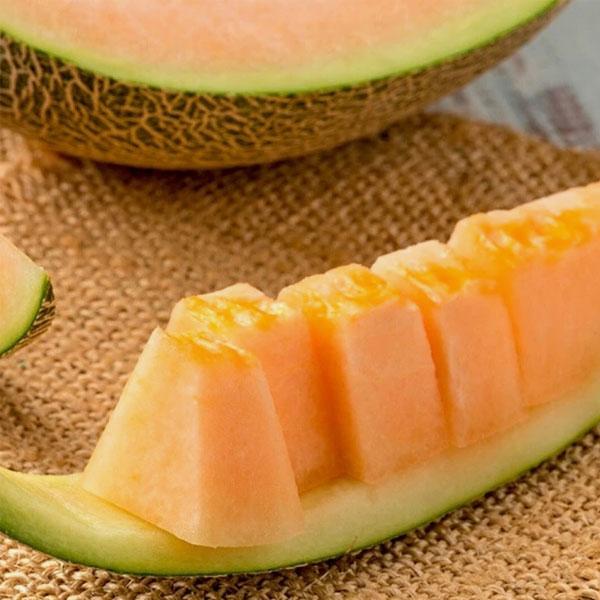 Musk Melon