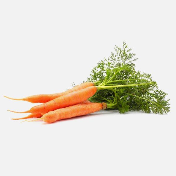 Carrot